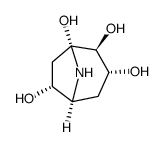 Calystegine B1