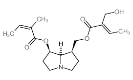Neosarracine