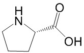 Proline