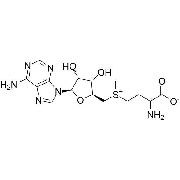 S-Adenosyl-L-Methtonine