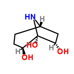 Calystegine A6