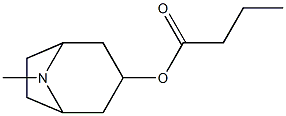 3-Butyryloxytropane