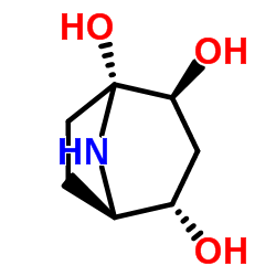 Calystegine A7