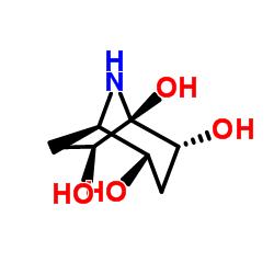 Calystegine B5