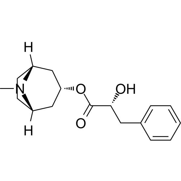Littorine