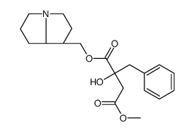 Phalaenopsine T