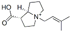 Anodendrine