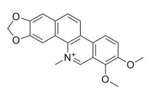 Chelerythrine
