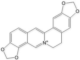 Coptisine