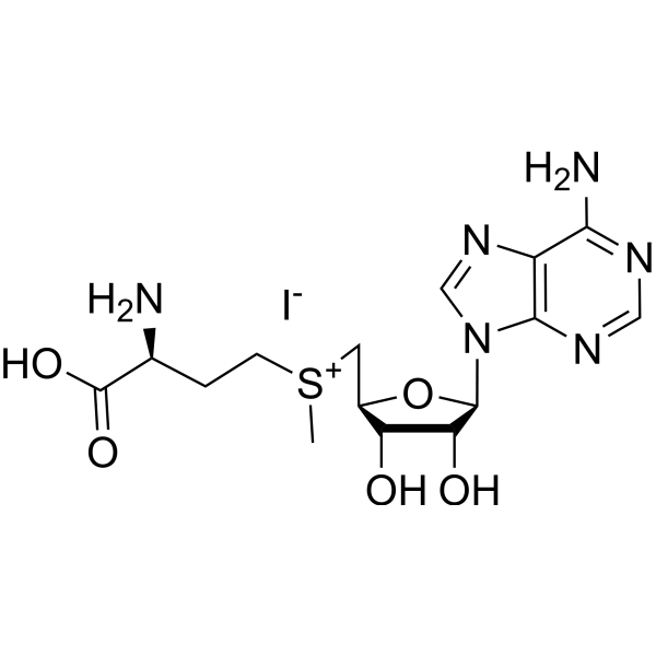 S-Adenosyl-L-Methionine iodide salt
