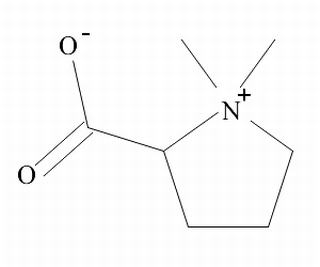 Stachydrine hydrochloride