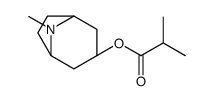 Tropine isobutyrate