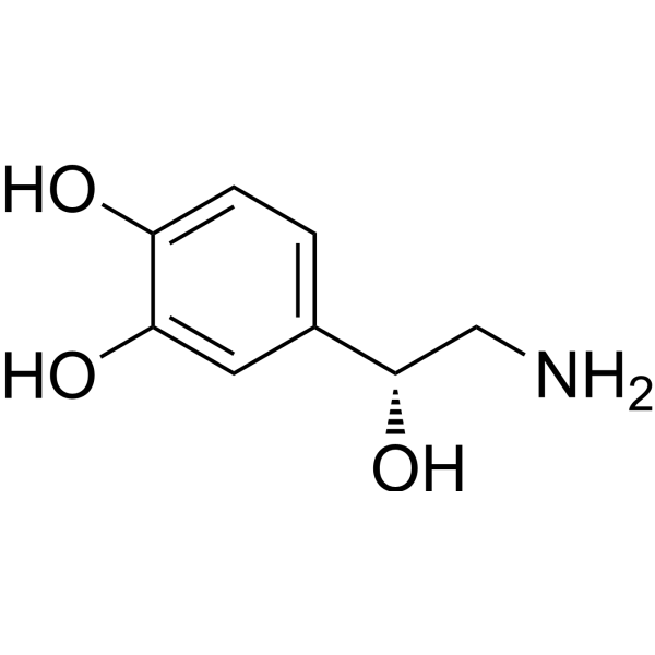 Norepinephrine