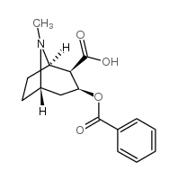 Benzoylecgonine