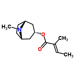 Tigloidine