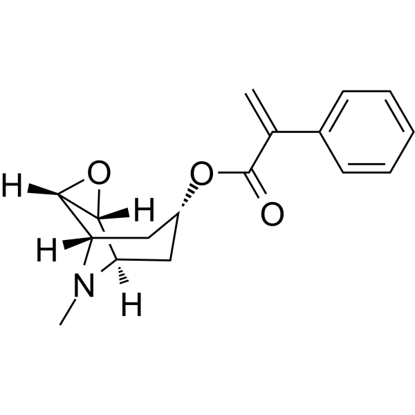 Apohyoscine