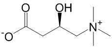 L-Carnitine inner salt