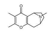 Darlingine