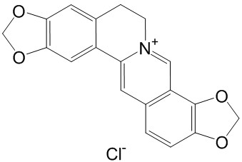 Coptisine chloride