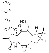 Jolkinol A