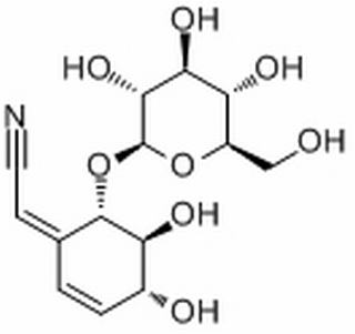 Lithospermoside