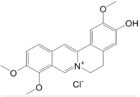 Jatrorrhizine Hydrochloride