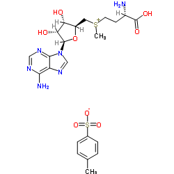 S-Adenosyl-L-methionine tosylate