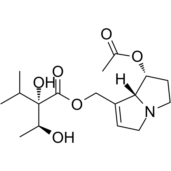 7-Acetyllycopsamine