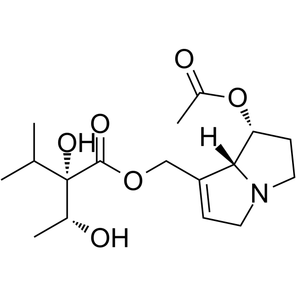 7-Acetylintermedine