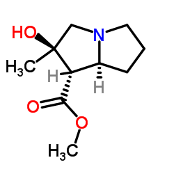 Isotussilagine